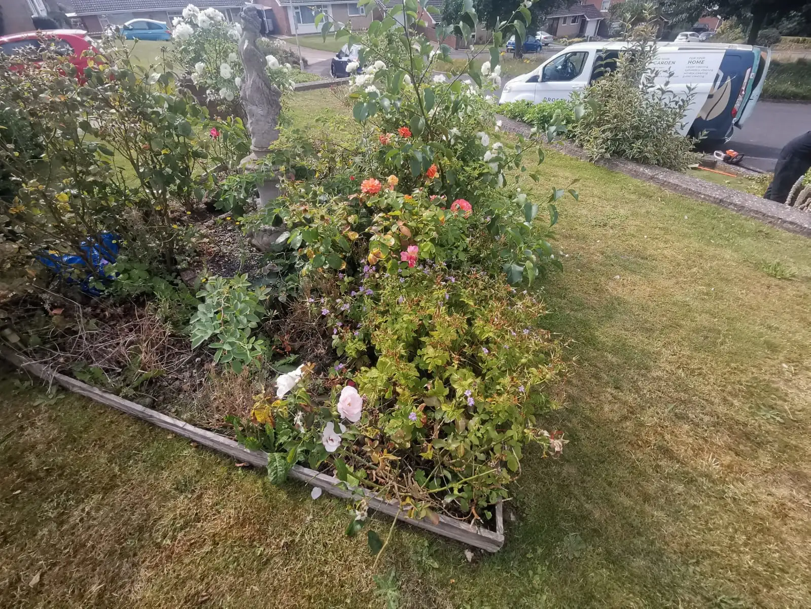 Images Prostyle Gardening & Home Services