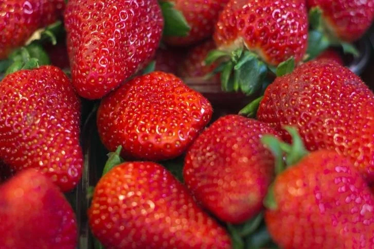 Images Ortofrutta Zanei Giuseppe