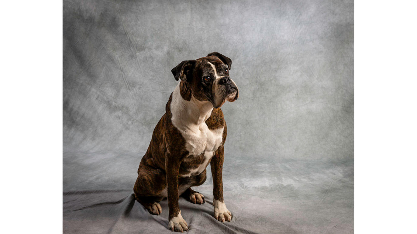 Images Dj Foto och Video - Fotograf Umeå