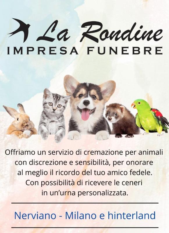 Images Impresa funebre La Rondine | Onoranze Pompe Funebri | Nerviano