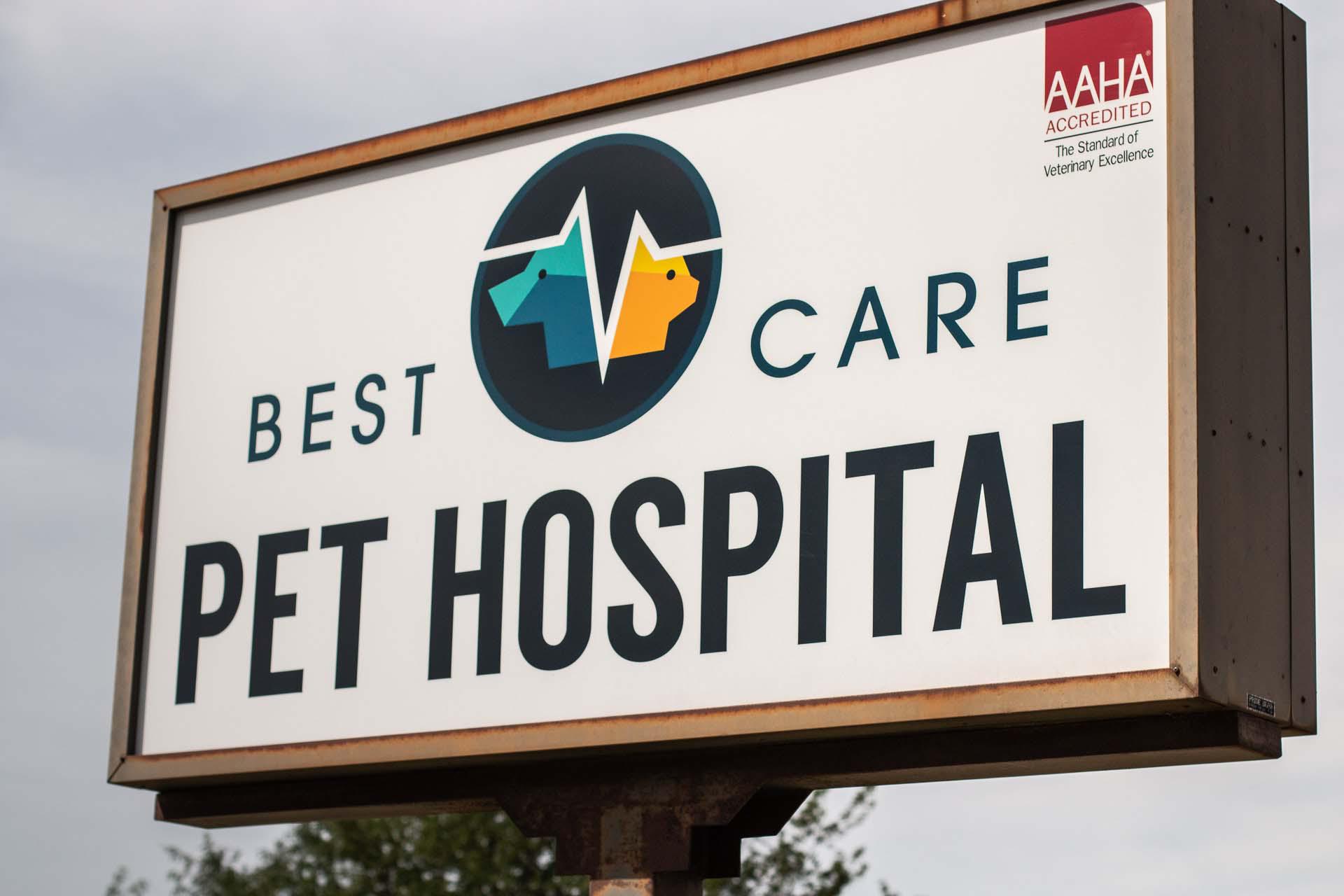 At Best Care Pet Hospital, we are dedicated to health and healing.