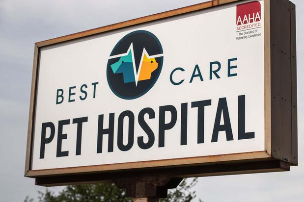 Images Best Care Pet Hospital