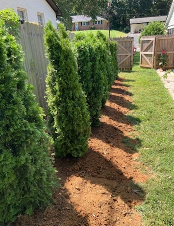 Images Southern Style Turf & Design