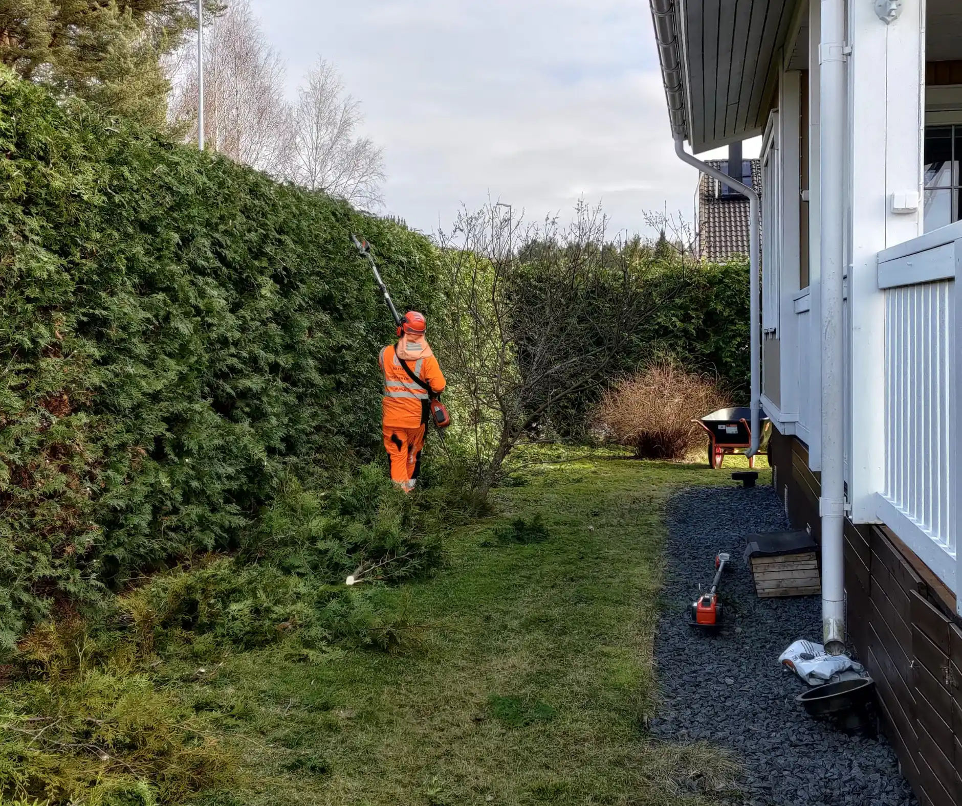 Images Metsä Nieminen Oy