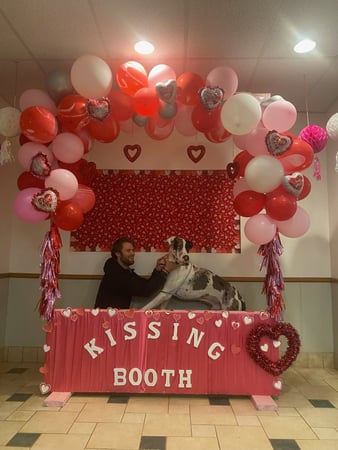 Images VCA Baring Boulevard Animal Hospital