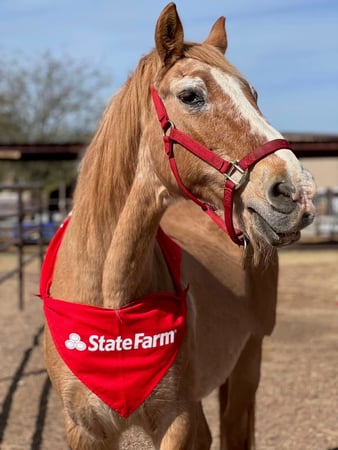 Images Hunter Bolden - State Farm Insurance Agent