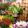 Kundenbild groß 26 Blumen & Dekoration | Rita Roth | München