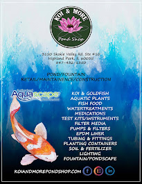 Koi and More Pond Shop