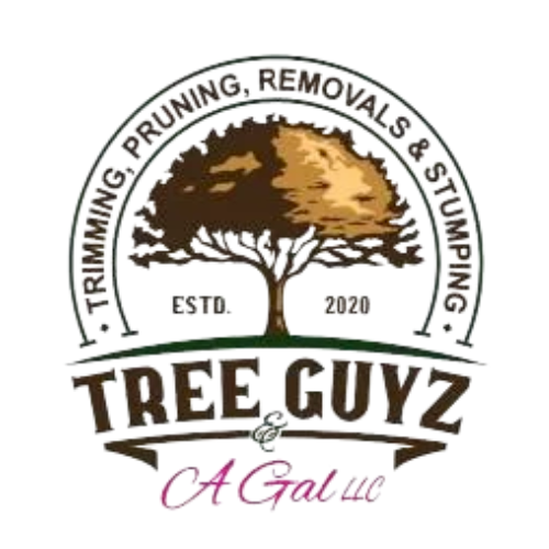 Tree Guyz and a Gal LLC Logo