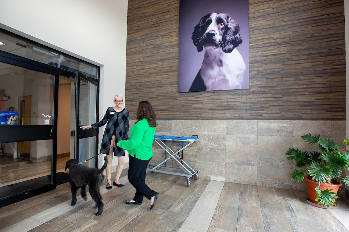 Image 10 | Katonah Bedford Veterinary Center