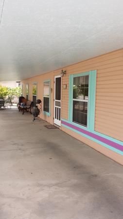 Images Steve's Perfection Painting