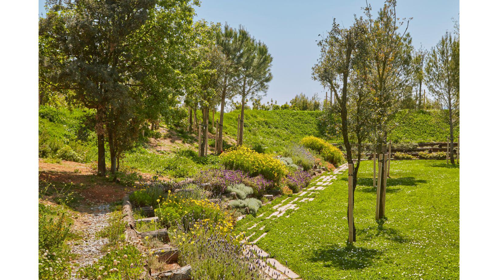 Cementiri Comarcal Roques Blanques 54