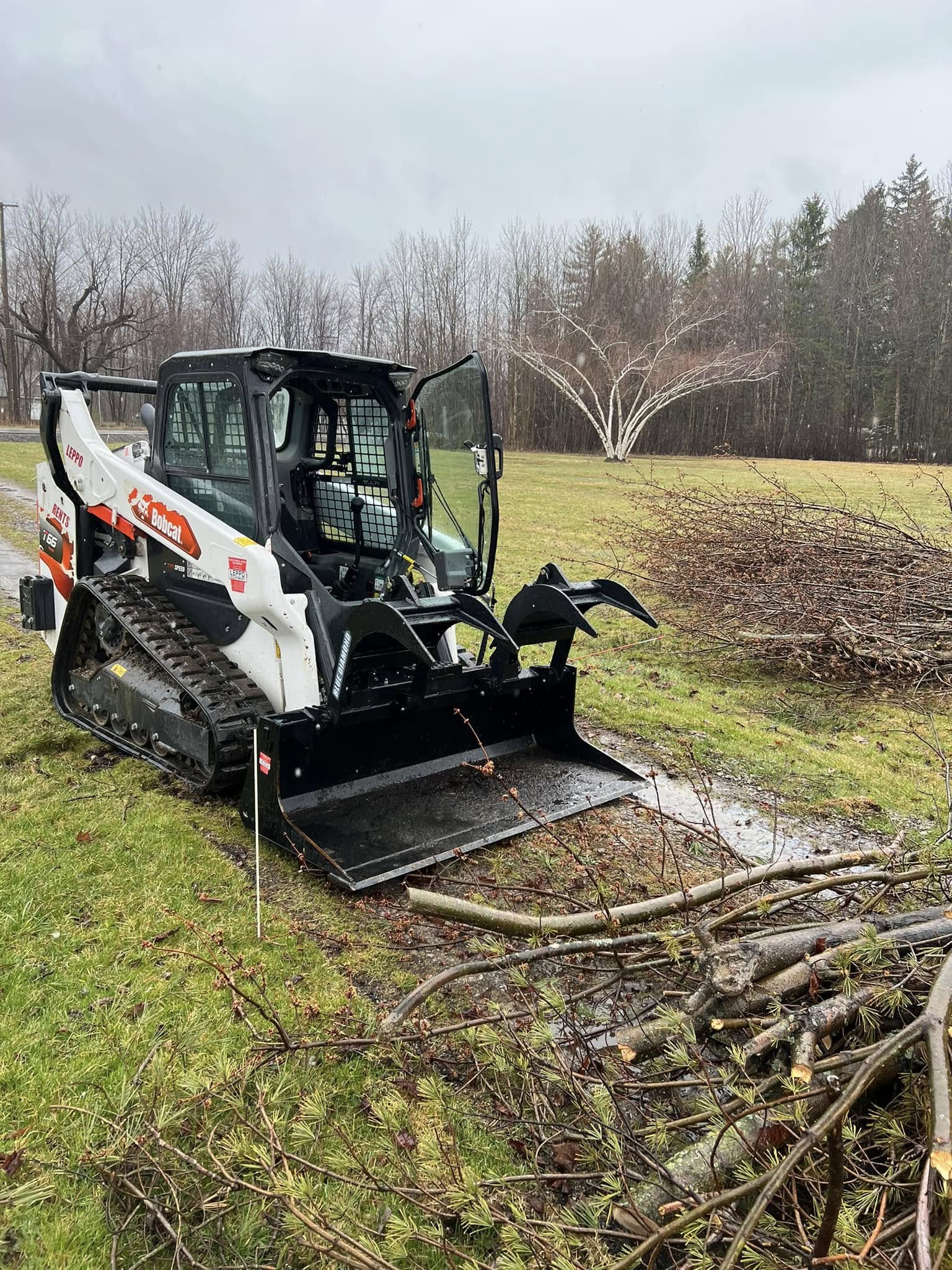 At Lucca Landscaping & Construction LLC, we offer professional tree pruning services to support tree health and encourage strong, balanced growth. Pruning helps prevent future problems and improves the overall structure of your trees. Our team takes a thoughtful approach to every project, considering both safety and long-term health. We work to keep your trees looking their best year-round.