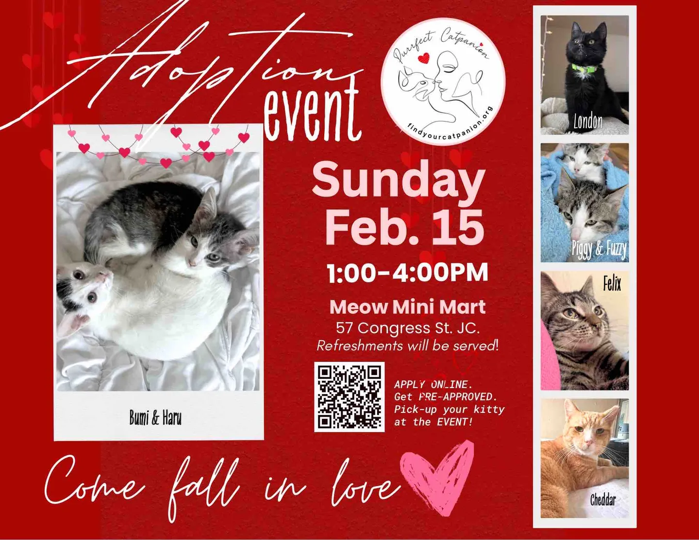 Image of Local Pet Event Purrfect Catpanion Valentine’s Day Adoption Event Nearby