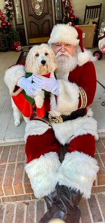 Images Ann Sullivan - State Farm Insurance Agent