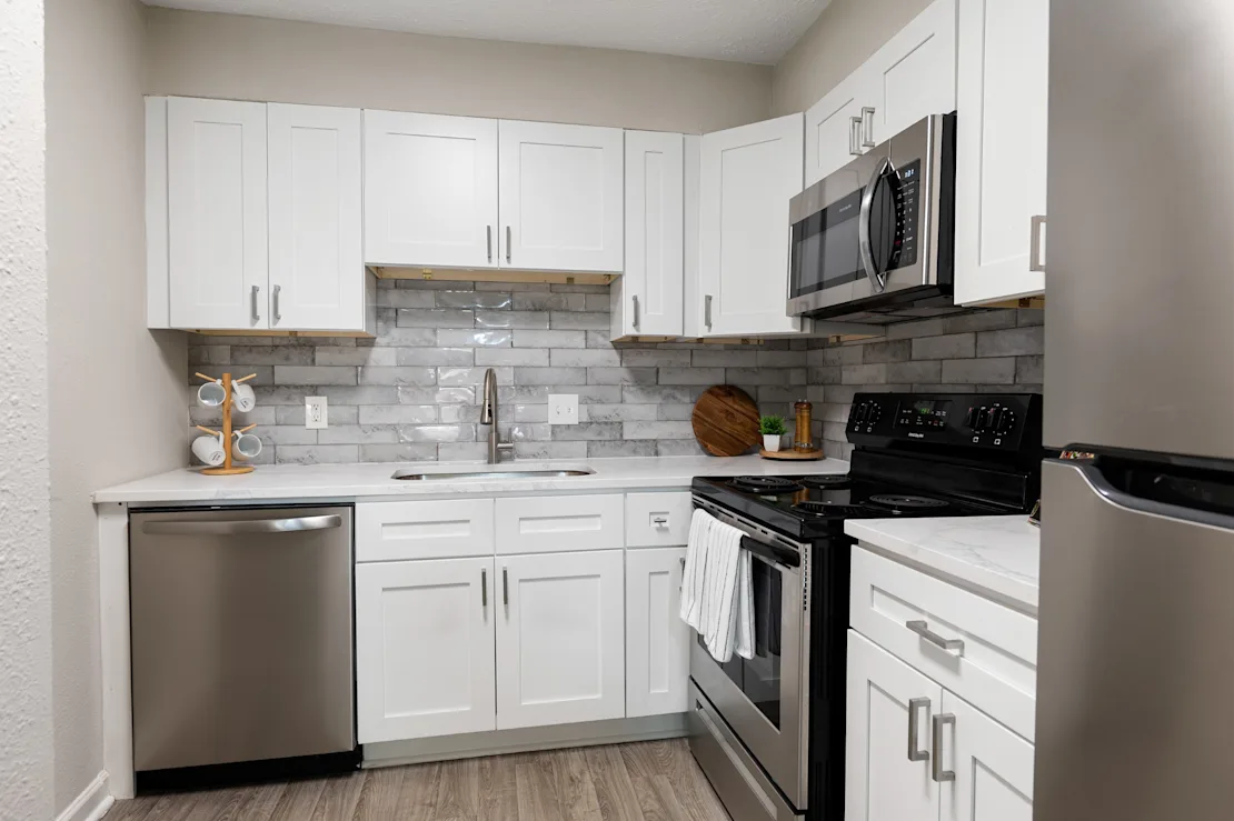 Modern Kitchen