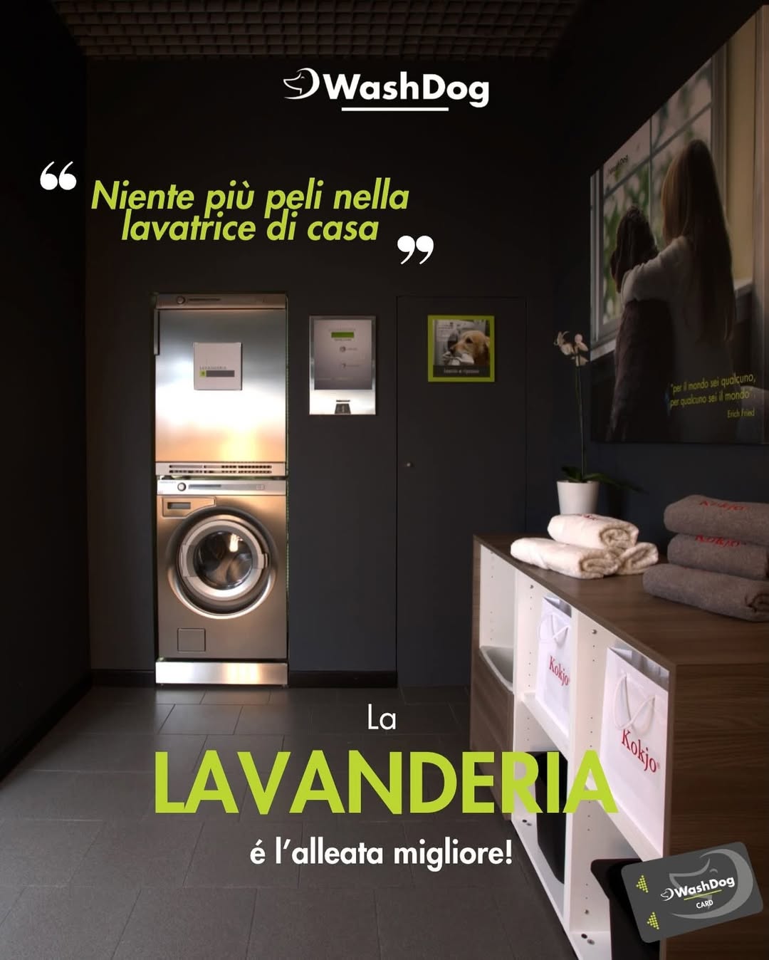 Bilder WashDog Bellinzona