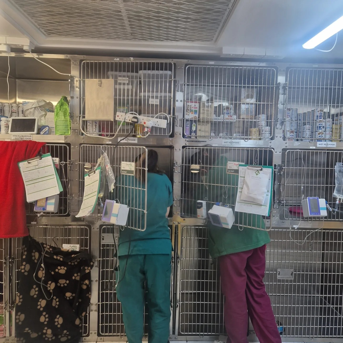 Images Streatham Hill Veterinary Surgery