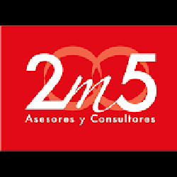 2M5 Asesores Logo
