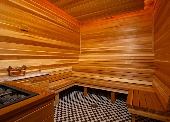 Thermal Detox Sauna 