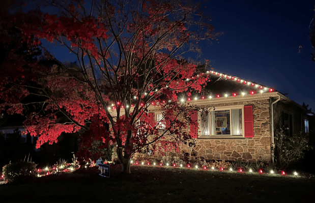 Images Rudy & Co. Holiday Lighting