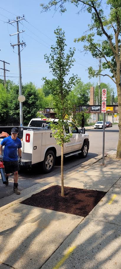 Heritage Lawn Care Image