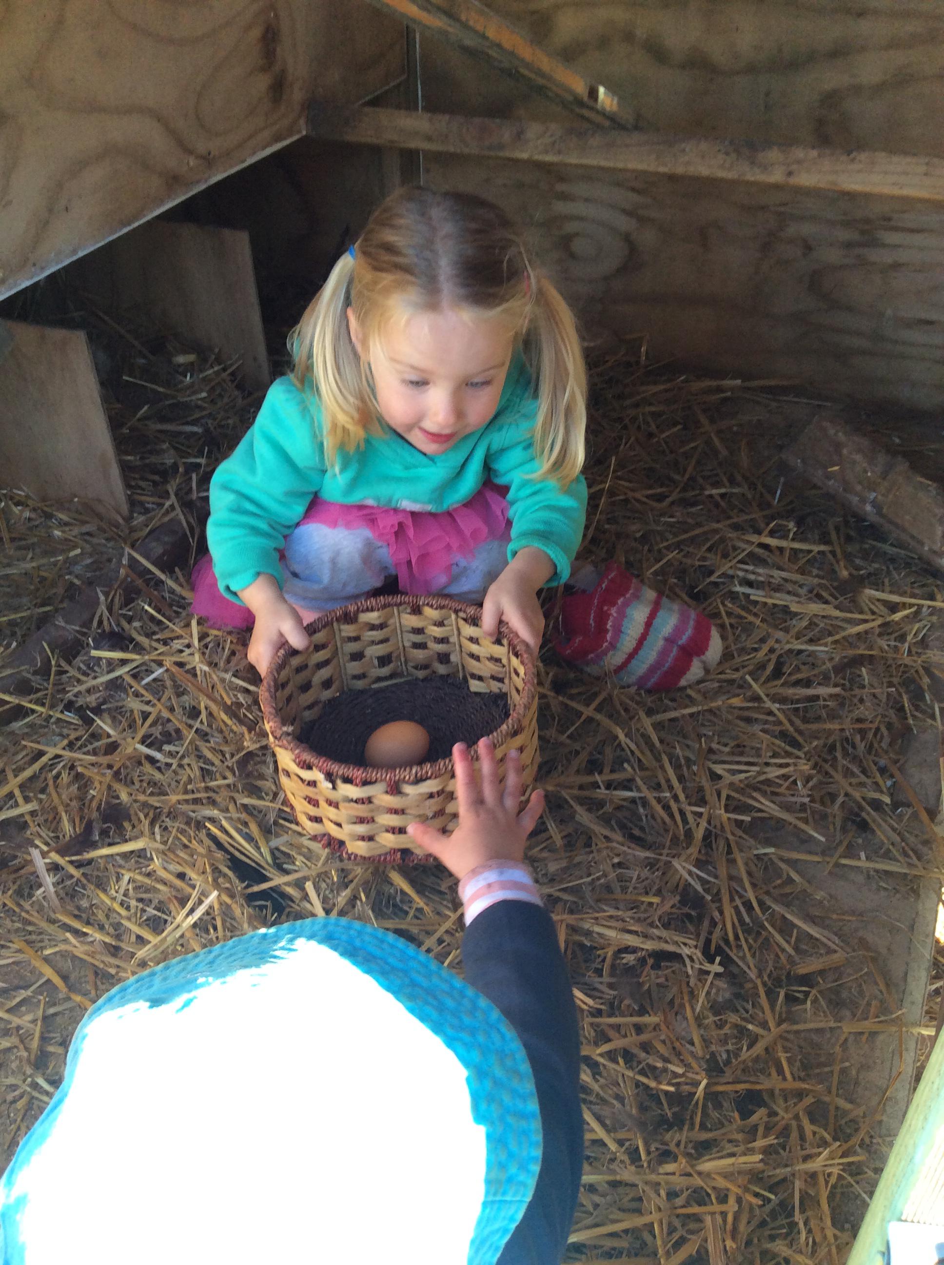 Images The Willows Preschool and Early Learning Centre