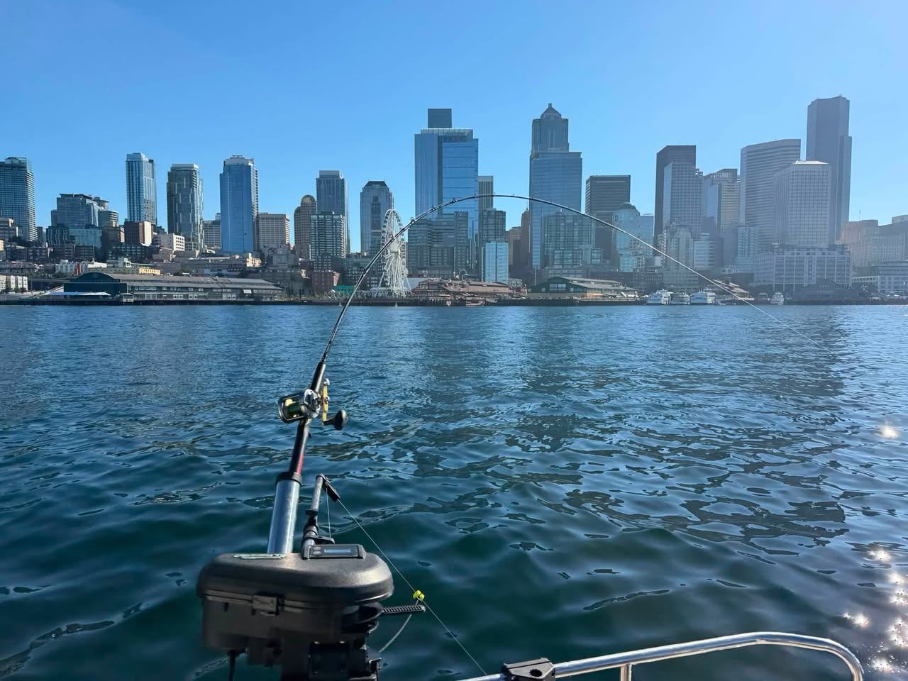 The view was spectacular, always fun fishing Elliott Bay.