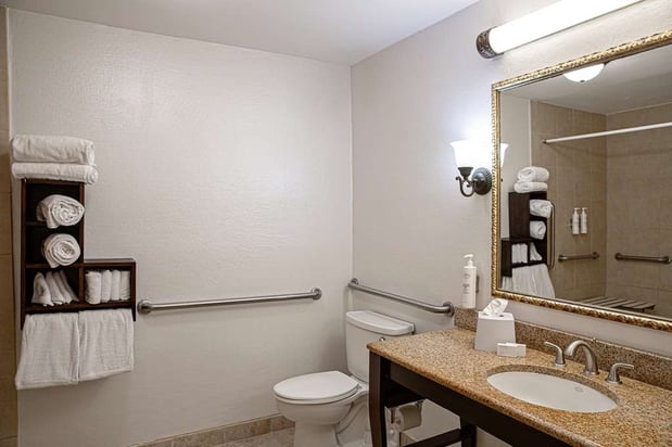 Images Hampton Inn Charleston-Historic District