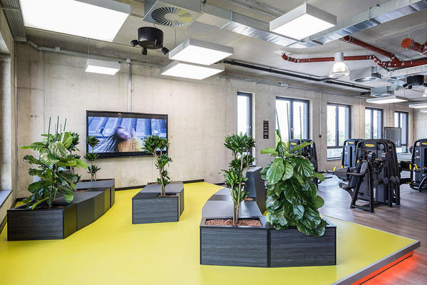 Bilder FitX Fitnessstudio