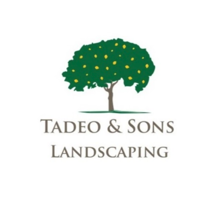 Tadeo and Sons Landscaping Logo