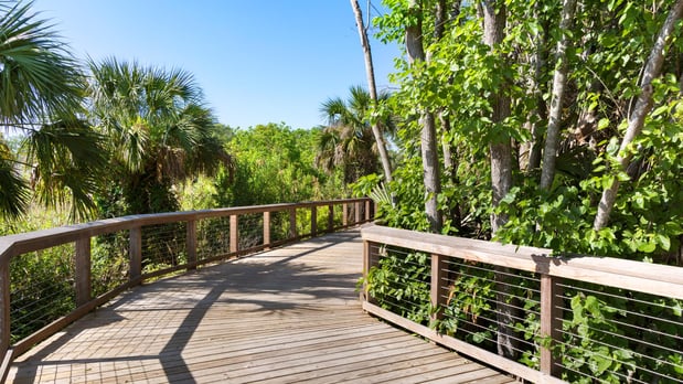 Images Toll Brothers at RiversEdge