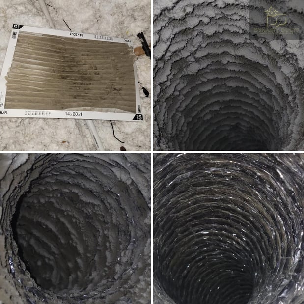 Images Dynasty Ducts