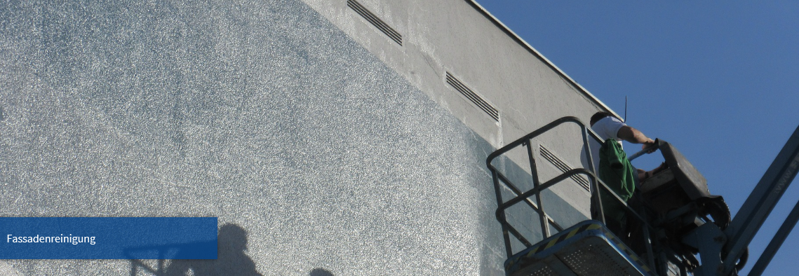 Ferreira Gebäudeservice, Vilbeler Landstrasse 36 in Frankfurt