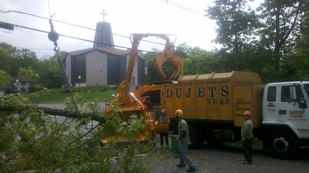 Images Dujets Tree Experts Inc.