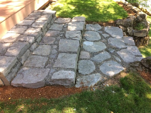 Images Rite Size Pest Control and Moss Removal