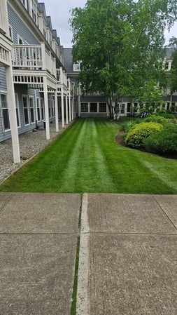 Images Ultra Landscaping LLC