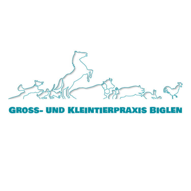 Gross- und Kleintierpraxis Geiser Biglen Logo