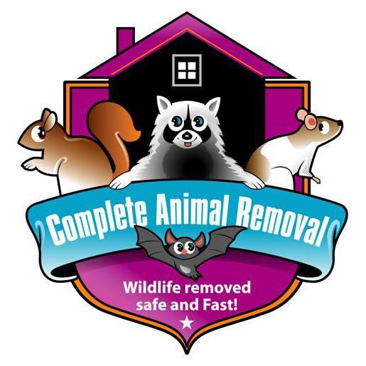 business logo