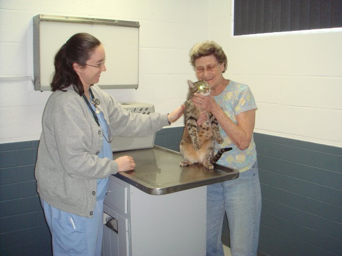 Images VCA Dudley Avenue Animal Hospital
