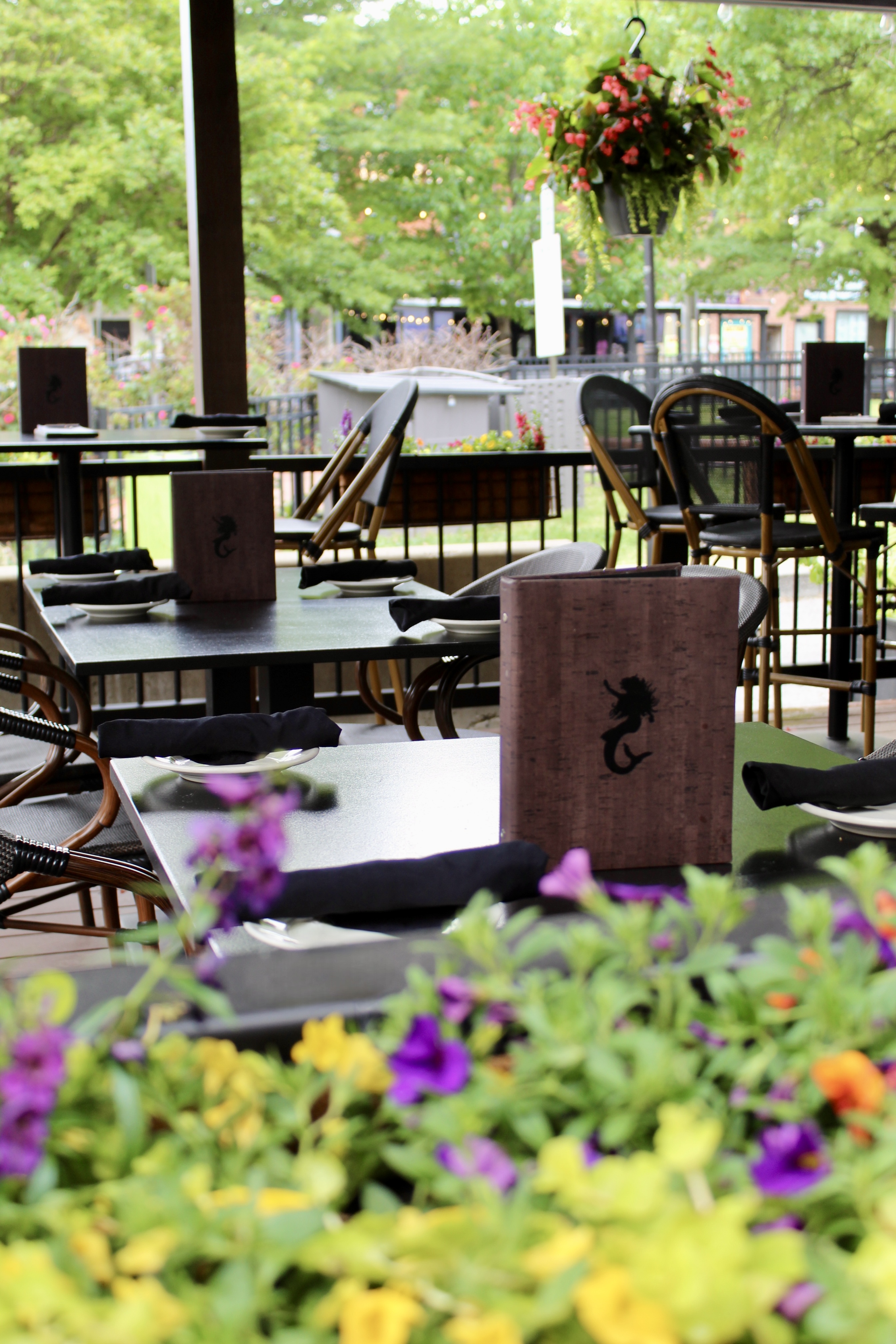 Mama's On The Half Shell Patio outdoor dining area 