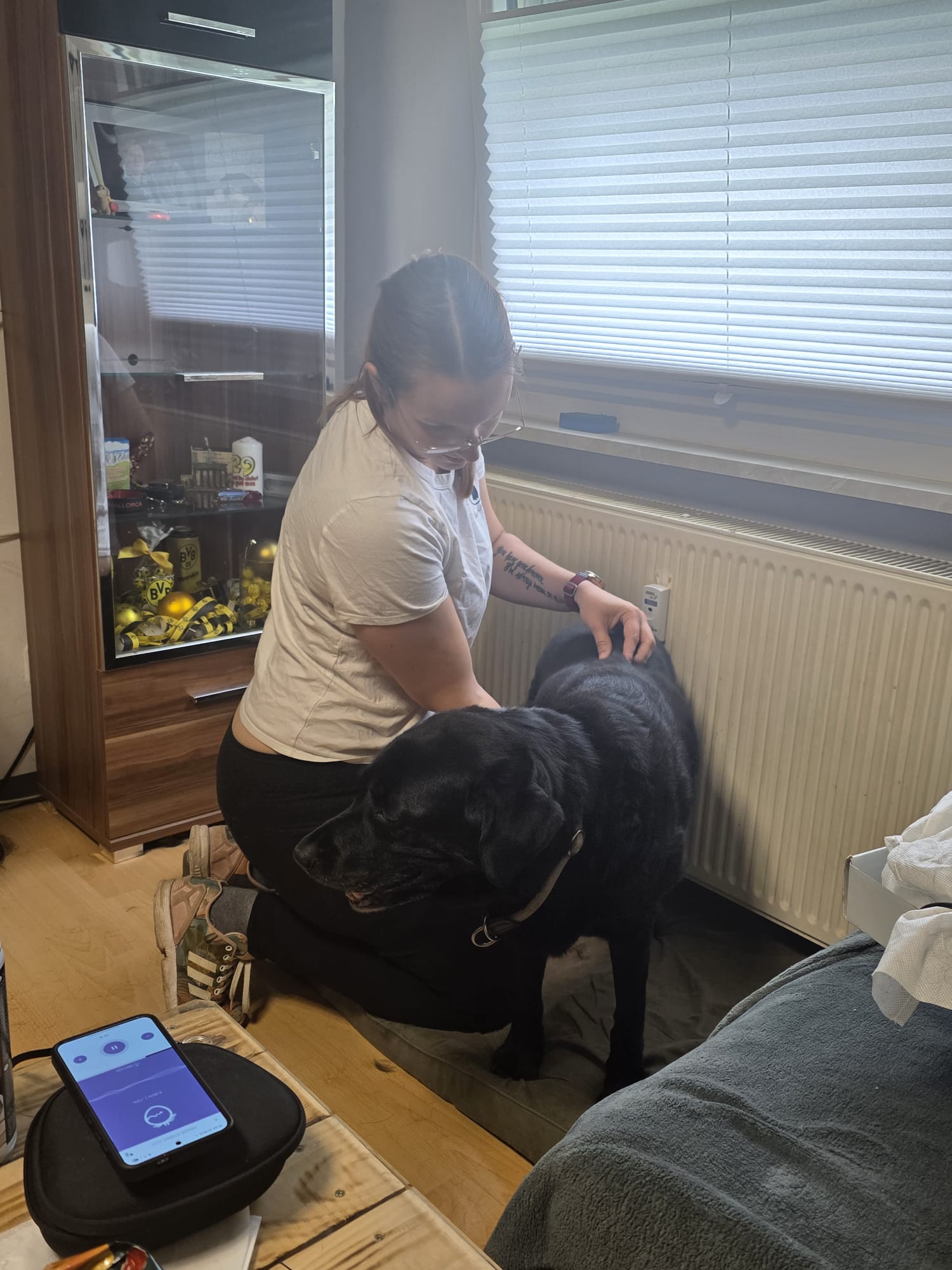 Ganzheitliche Tiertherapie Katrin Steiber in Wadgassen - Logo
