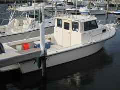 Let it Fly Charter Fishing
