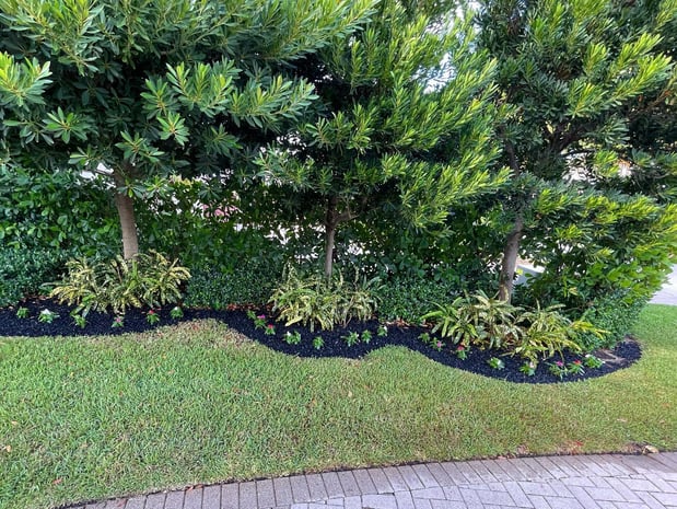 Images Area's Best Landscape Design & Irrigation