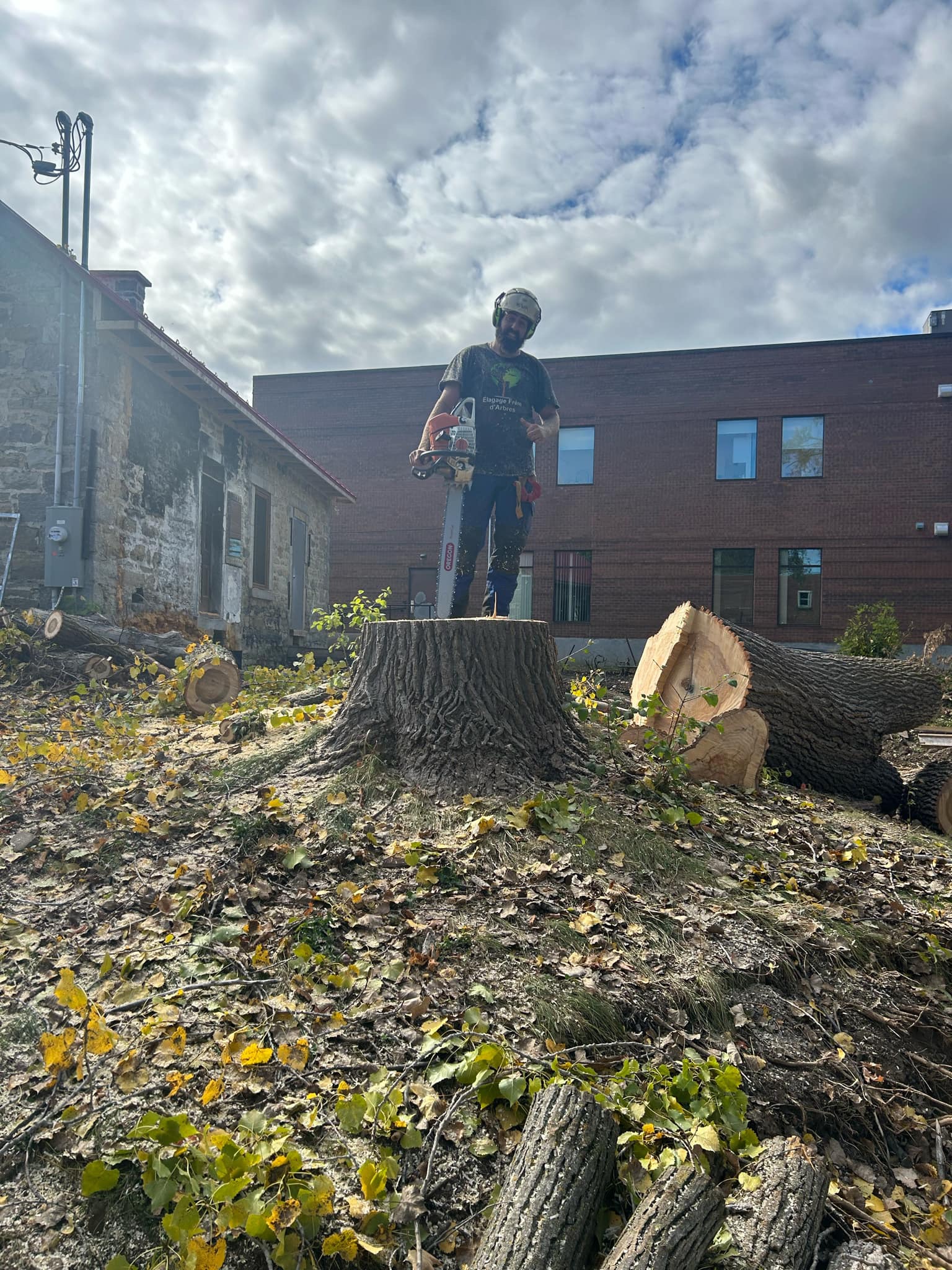 Images Élagage Frère d'Arbres