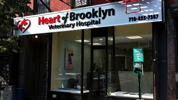 Images Heart of Brooklyn Veterinary Hospital - Flatbush