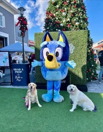 Image of Local Pet Event Dog's Day Out at Wrentham Premium Outlets Nearby