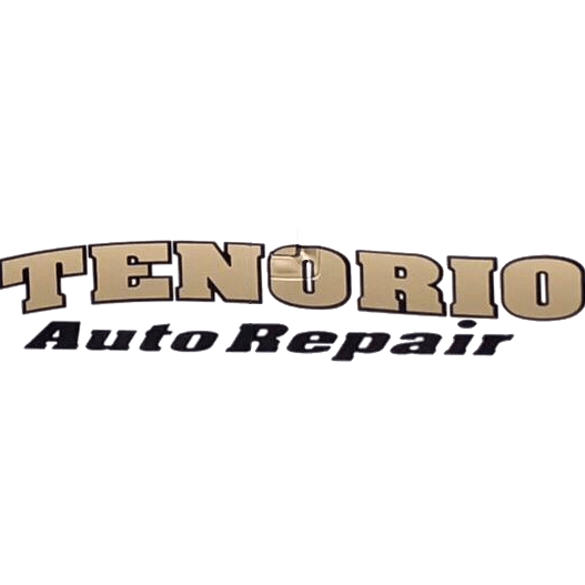 Tenorio Auto Repair Logo