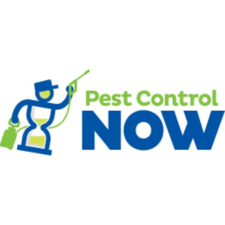 Pest Control Now - Visalia, CA 93291 - (559)471-3147 | ShowMeLocal.com