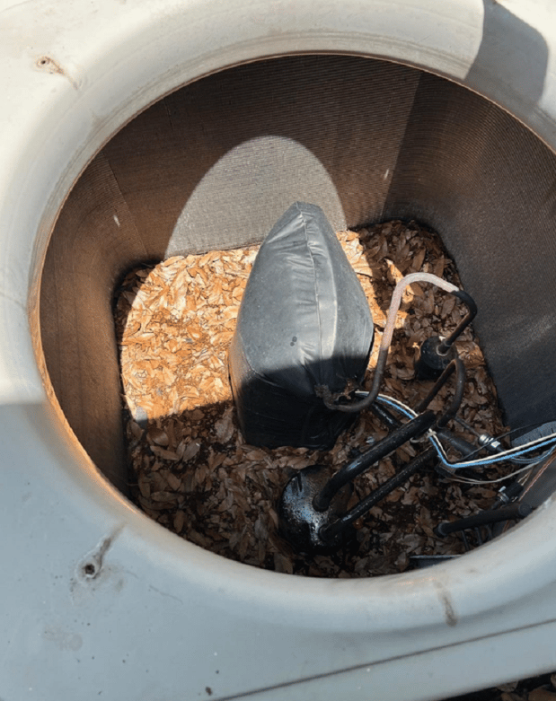 Images TemperaturePro